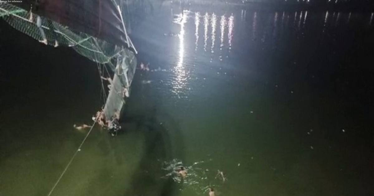 22 of 49 cables of collapsed Morbi bridge found corroded, reveals SIT report